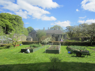The walled garden at Mornington